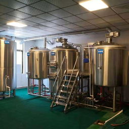 投資小型啤酒廠可以釀制幾種啤酒呢 公司動態(tài) 北京史密力維環(huán)?？萍? class=